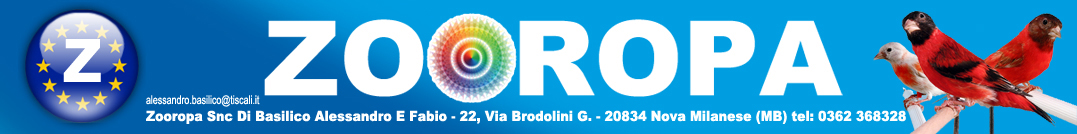banner zooropa